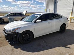 Salvage cars for sale at Albuquerque, NM auction: 2021 KIA Forte FE