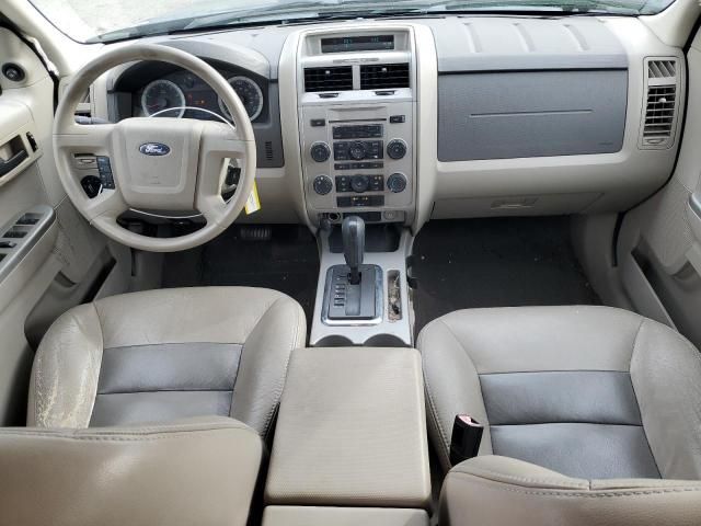 2008 Ford Escape XLT