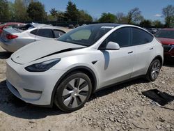 Salvage cars for sale at Madisonville, TN auction: 2020 Tesla Model Y