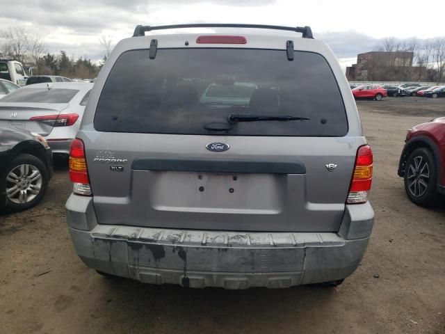 2007 Ford Escape XLT