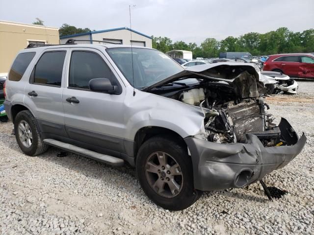 2006 Ford Escape XLT