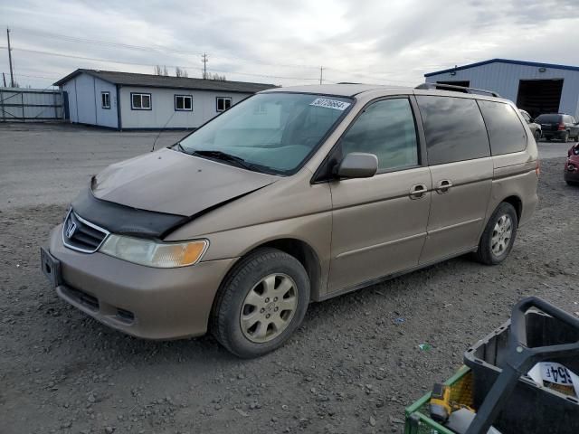 2004 Honda Odyssey EXL