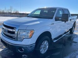 Copart GO Trucks for sale at auction: 2014 Ford F150 Supercrew