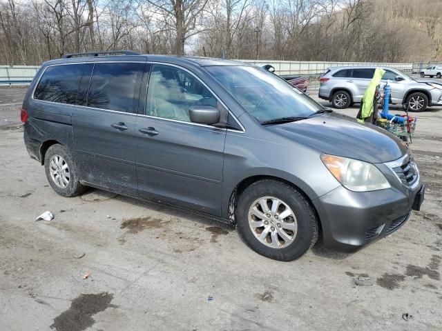 2008 Honda Odyssey EXL