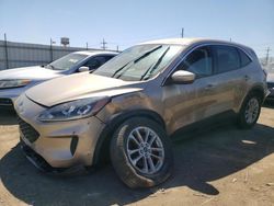 Salvage cars for sale at Chicago Heights, IL auction: 2020 Ford Escape SE