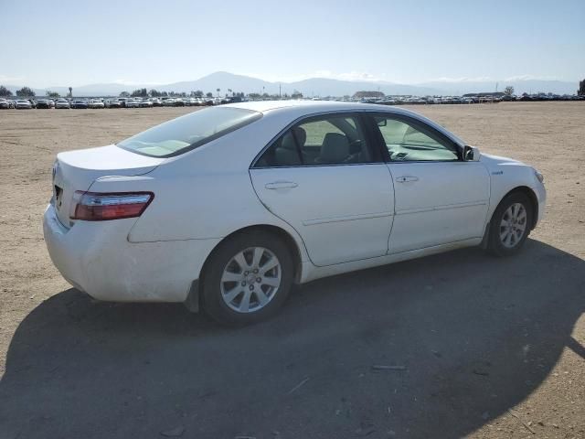 2009 Toyota Camry Hybrid