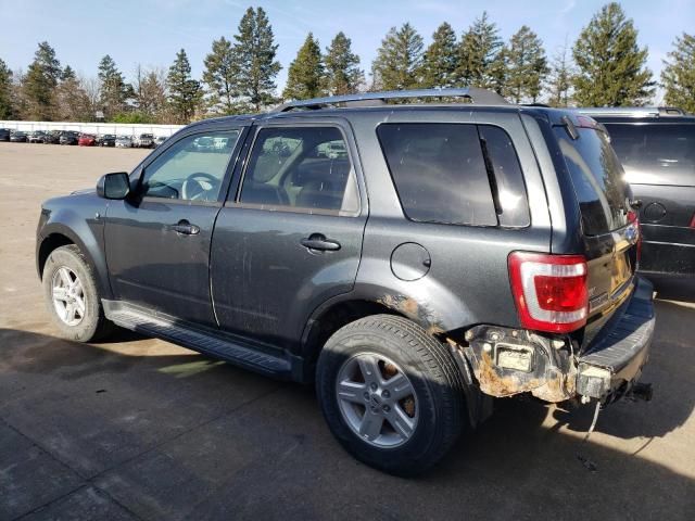 2008 Ford Escape HEV