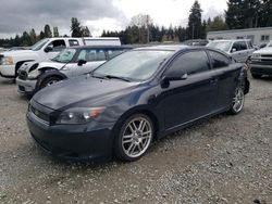 Vehiculos salvage en venta de Copart Graham, WA: 2007 Scion TC