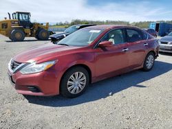 Nissan salvage cars for sale: 2016 Nissan Altima 2.5