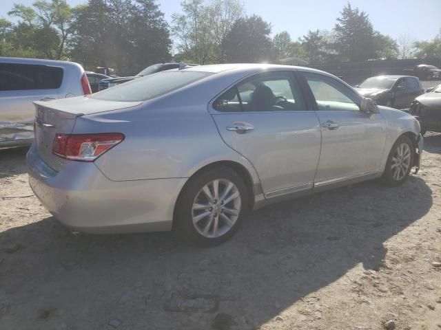 2010 Lexus ES 350