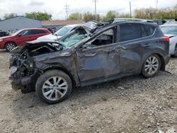 Toyota rav4 Limited salvage cars for sale: 2015 Toyota Rav4 Limited