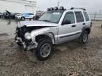 2006 Jeep Liberty Renegade