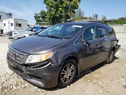 Salvage cars for sale at Opa Locka, FL auction: 2012 Honda Odyssey EXL