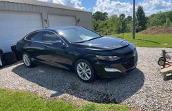 Chevrolet Malibu LT salvage cars for sale: 2019 Chevrolet Malibu LT