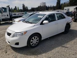 Salvage cars for sale from Copart Graham, WA: 2010 Toyota Corolla Base