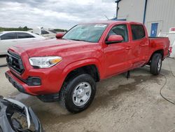 Salvage cars for sale at Memphis, TN auction: 2023 Toyota Tacoma Double Cab