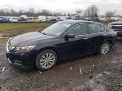 2015 Honda Accord EXL en venta en Hillsborough, NJ