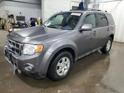 Salvage cars for sale from Copart Ham Lake, MN: 2010 Ford Escape Limited