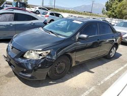 Toyota Vehiculos salvage en venta: 2009 Toyota Corolla Base