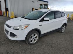 Salvage cars for sale at Airway Heights, WA auction: 2015 Ford Escape SE