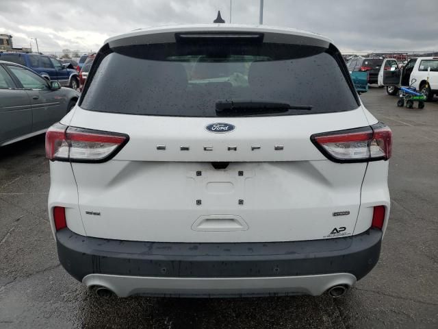 2020 Ford Escape SE Sport