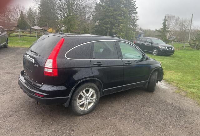 2010 Honda CR-V EXL