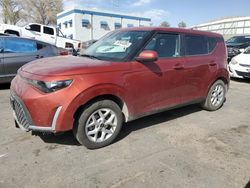 Salvage cars for sale at Albuquerque, NM auction: 2024 KIA Soul LX