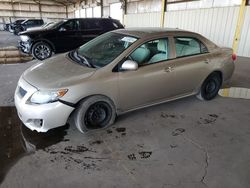 Salvage cars for sale at Phoenix, AZ auction: 2010 Toyota Corolla Base