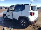 2019 Jeep Renegade Trailhawk