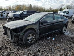 Salvage cars for sale at Chalfont, PA auction: 2017 Hyundai Sonata SE