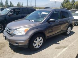 Vehiculos salvage en venta de Copart Rancho Cucamonga, CA: 2011 Honda CR-V SE