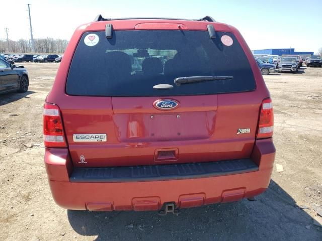 2012 Ford Escape XLT