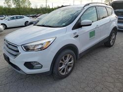 Salvage cars for sale at Cahokia Heights, IL auction: 2018 Ford Escape SE