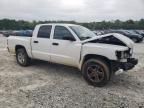 2011 Dodge Dakota SLT