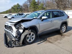 Salvage cars for sale from Copart Brookhaven, NY: 2019 Toyota Rav4 XLE