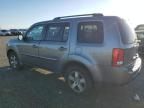 2009 Honda Pilot EX