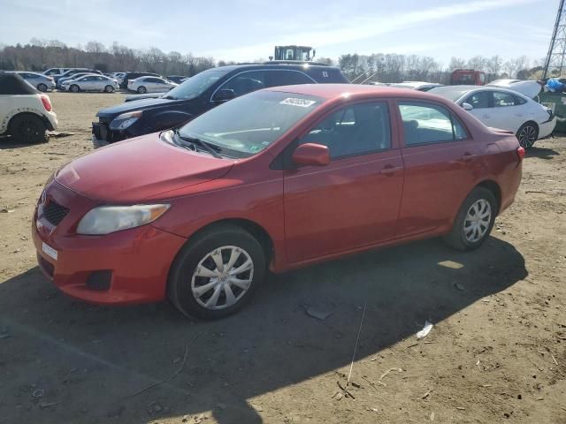 2010 Toyota Corolla Base