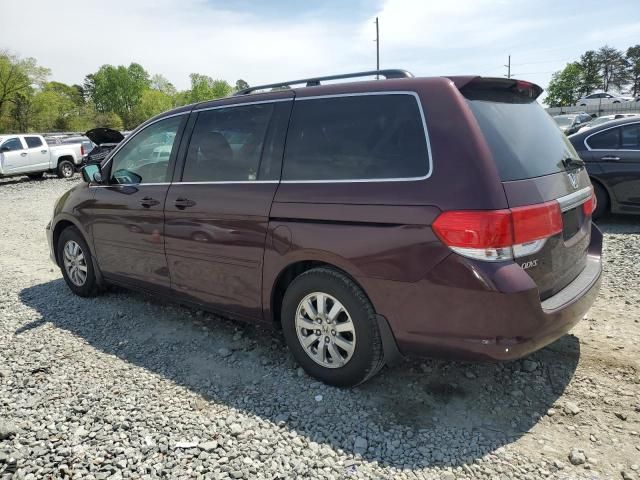 2008 Honda Odyssey EXL