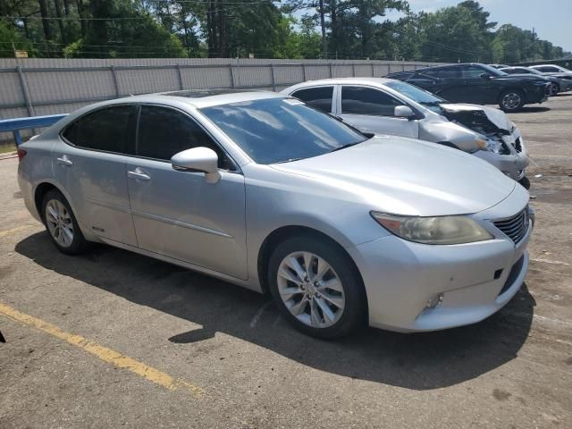 2013 Lexus ES 300H