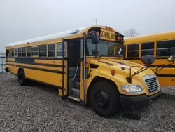 Salvage trucks for sale at Avon, MN auction: 2013 Blue Bird School Bus / Transit Bus