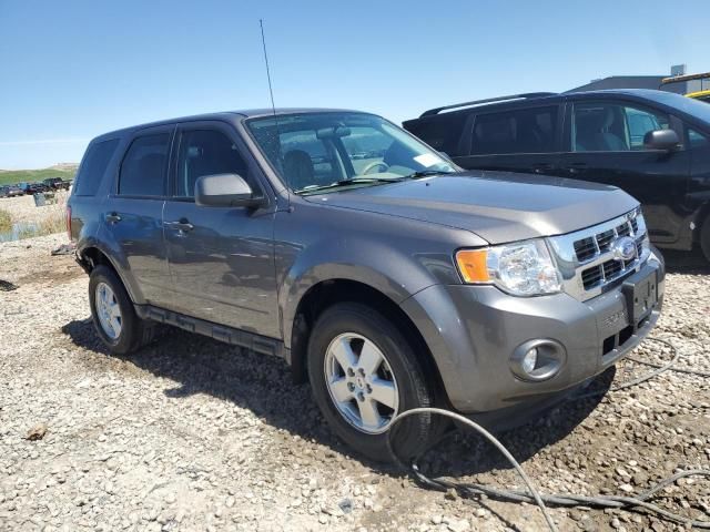 2011 Ford Escape XLS