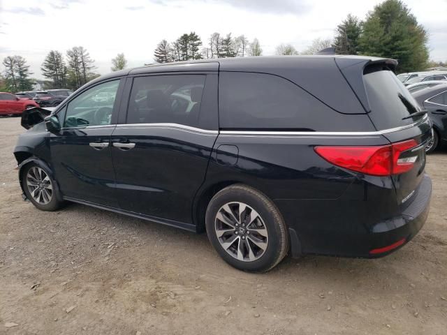 2023 Honda Odyssey EXL