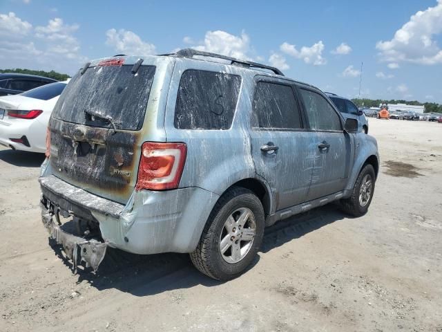 2008 Ford Escape HEV