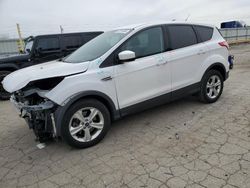 Salvage cars for sale from Copart Dyer, IN: 2014 Ford Escape SE