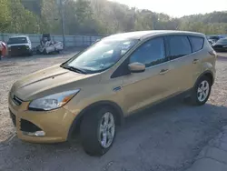 Salvage cars for sale at Hurricane, WV auction: 2015 Ford Escape SE