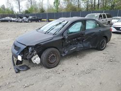 Salvage cars for sale from Copart Waldorf, MD: 2009 Toyota Corolla Base