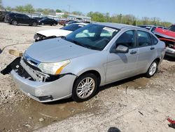 Vehiculos salvage en venta de Copart Louisville, KY: 2010 Ford Focus SE