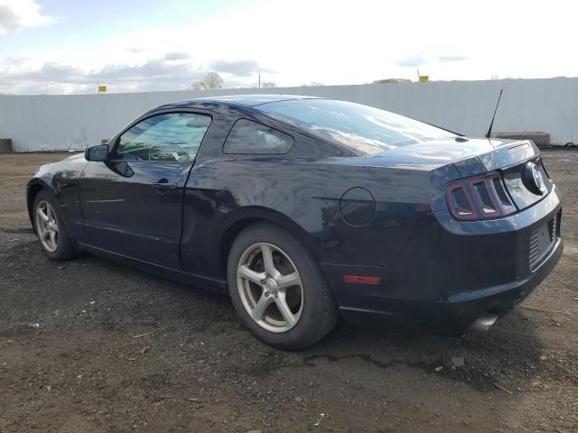 2014 Ford Mustang