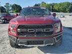 2019 Ford F150 Raptor