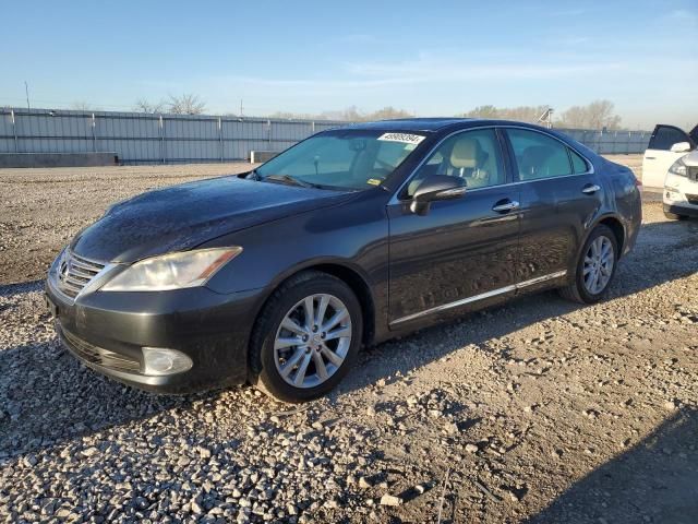 2010 Lexus ES 350